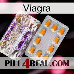 Viagra new12